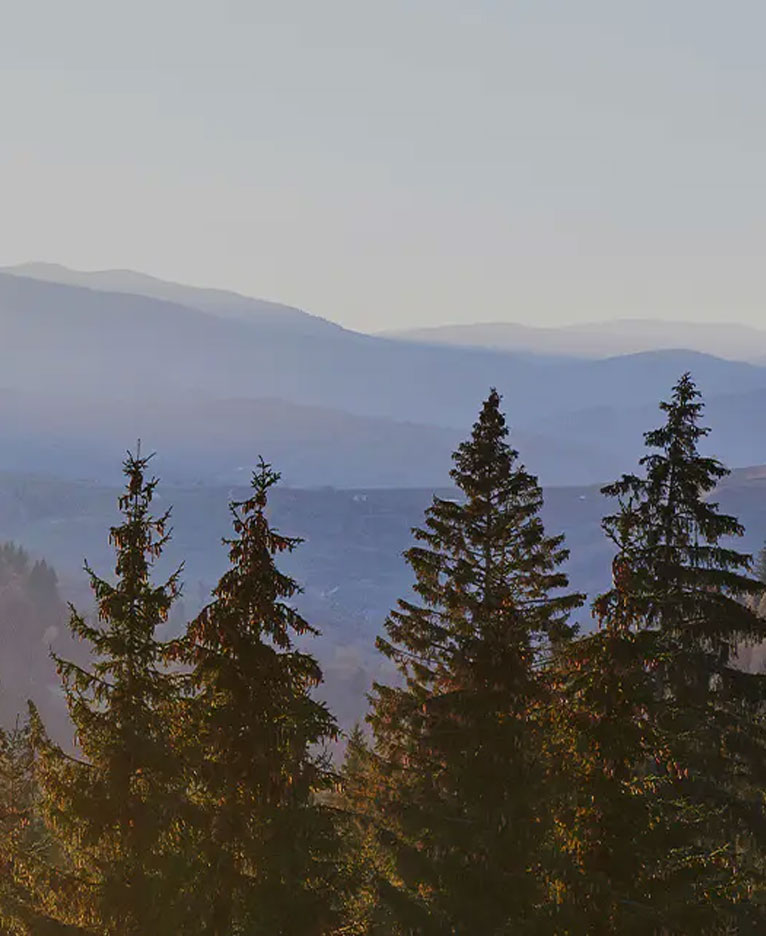 Papan Melamin Rekaan Kulit